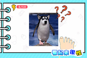 罗技广告贬低消费者 品牌方回应